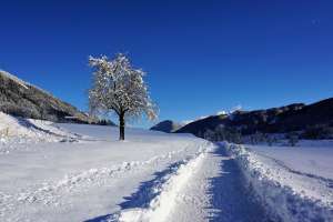 Winter am Weissensee - © creativomedia as1 - jjstr
