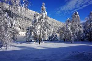 Winter am Weissensee - © creativomedia as1 - jjstr