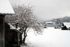 Wintereinbruch am Weissensee - © www.seehauswinkler.at