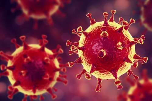 Corona Virus - © MRD - images/Science Photo Library